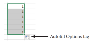 AutoFill and AutoSum