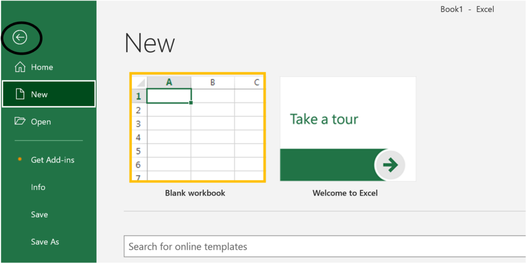 MS Excel Workbook
